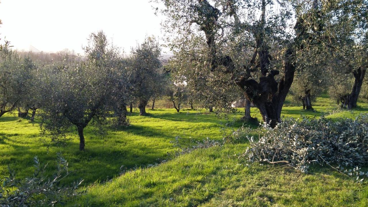 Vila Casa "Il Brio" Pistoia Exteriér fotografie